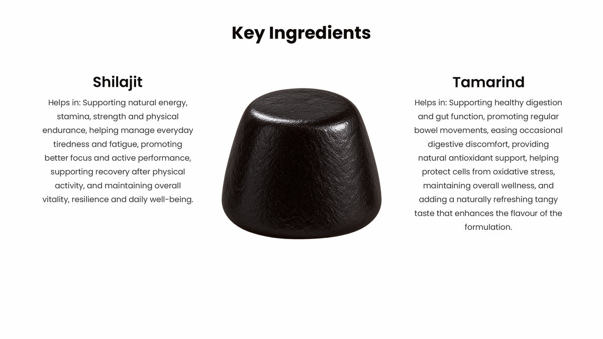 key ingredients shilajit gummies